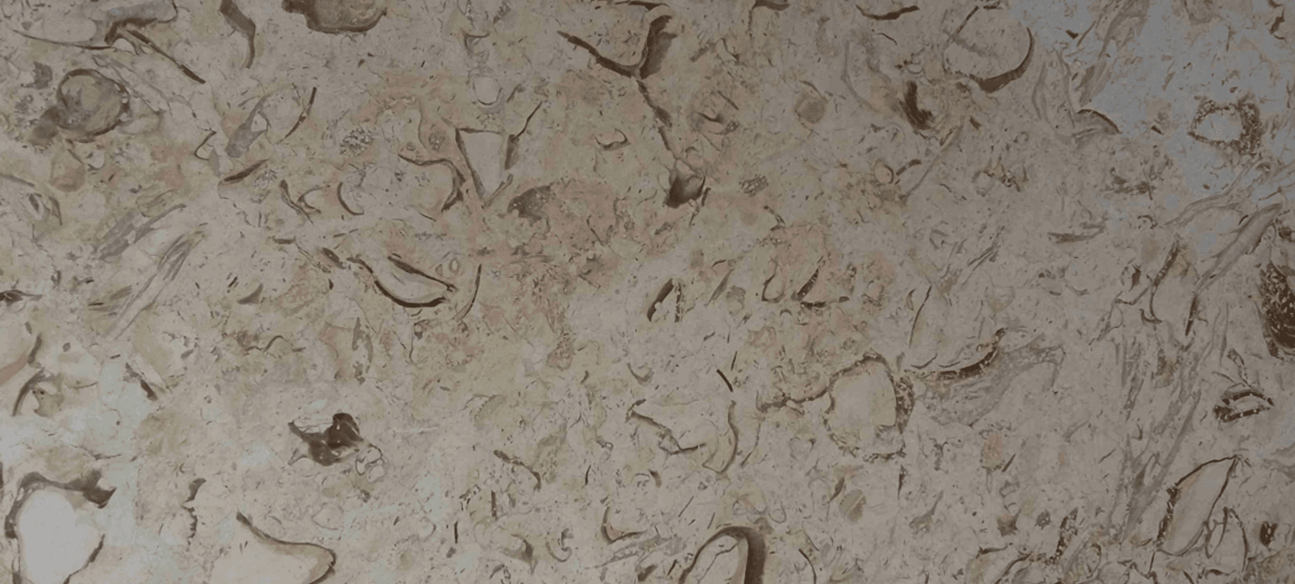 مرمریت پرطاووسی، تصویر 3