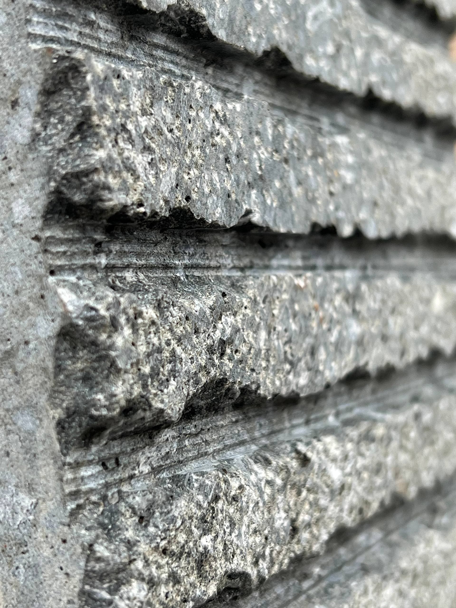 کات همر، تصویر 3