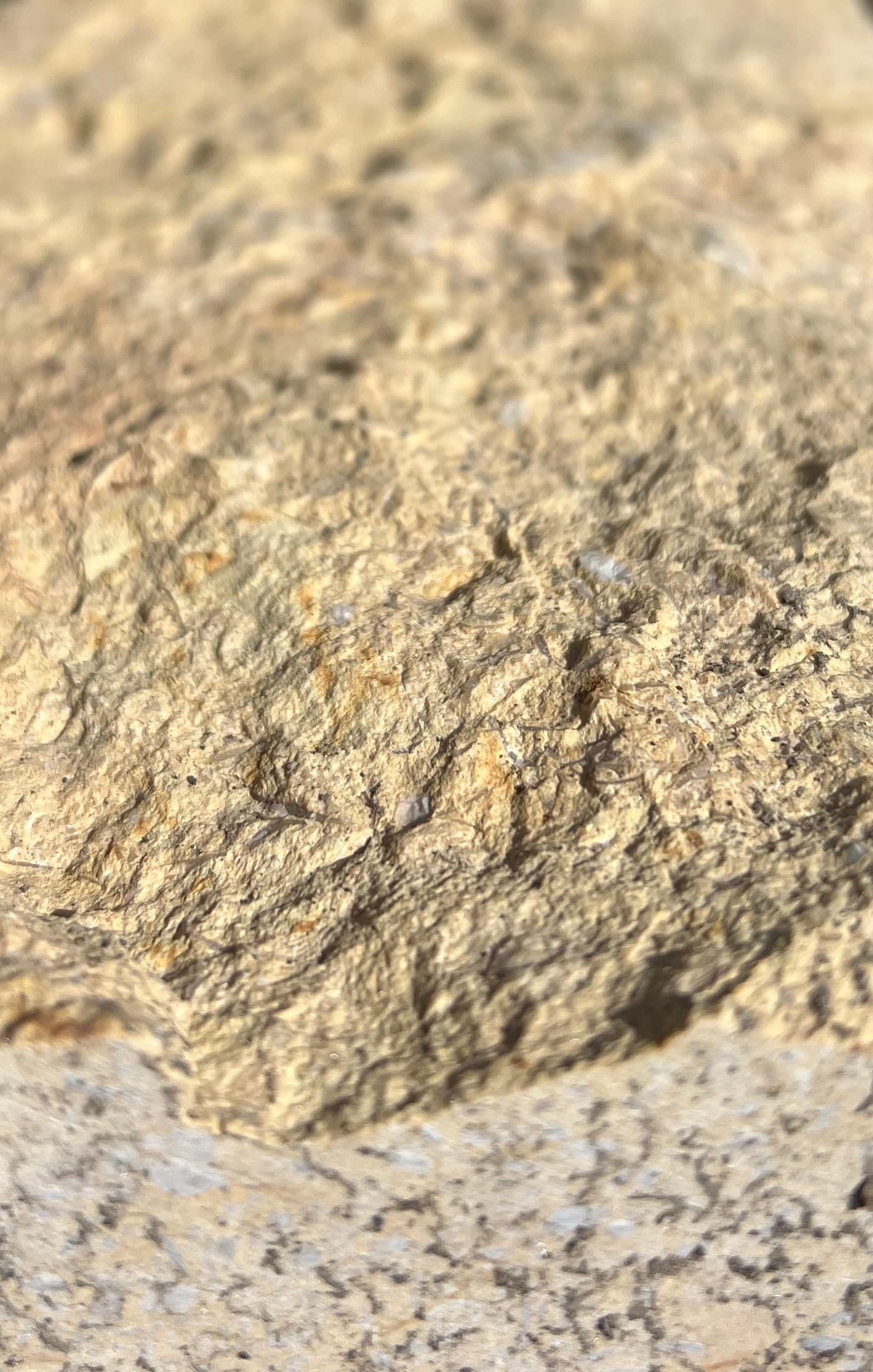 مرمریت گندمک، تصویر 21