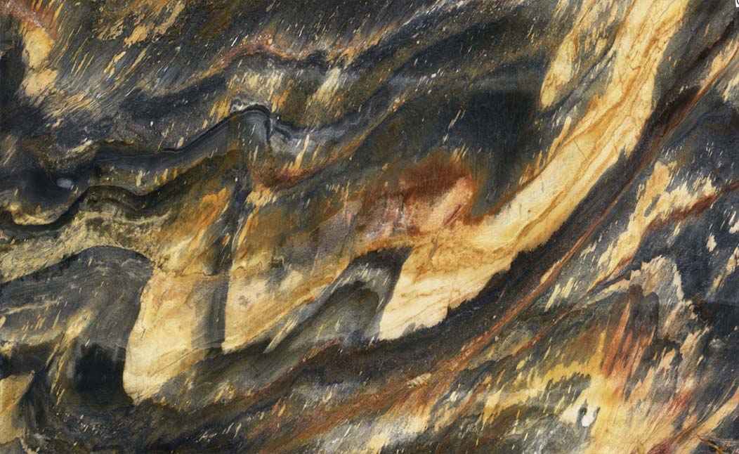 جاکاراندا